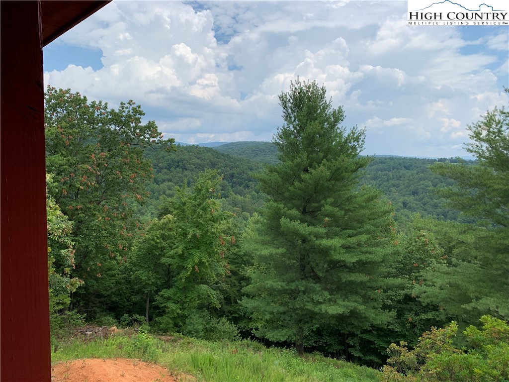 305 Wolf Pen Road Purlear, NC 28665 - Photo 9 of 40 a view of a yard