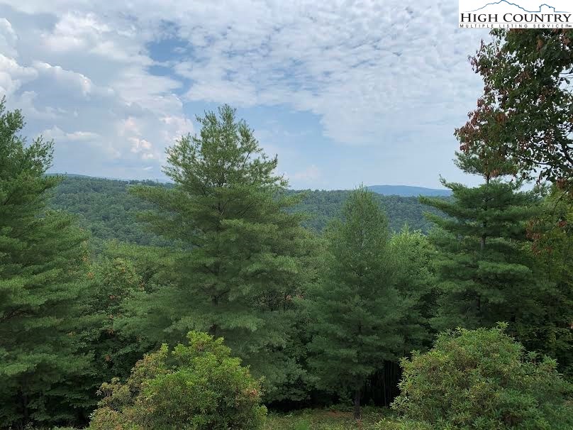305 Wolf Pen Road Purlear, NC 28665 - Photo 10 of 40 a view of a yard