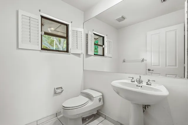 a view of a park with palm trees