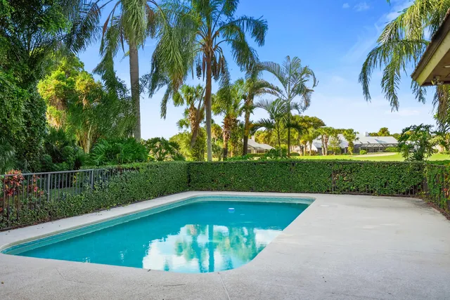 a view of a swimming pool with a yard