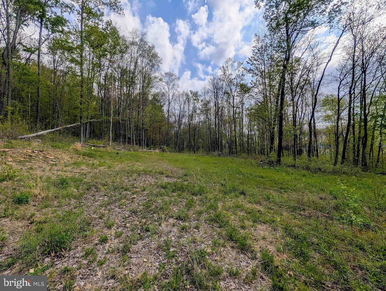 119 Heavens Vw Road Schellsburg, PA 15559 - Photo 25 of 35