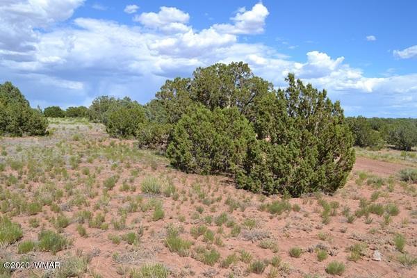 4524 East Pinto Road Snowflake, AZ 85937 - Photo 1 of 14
