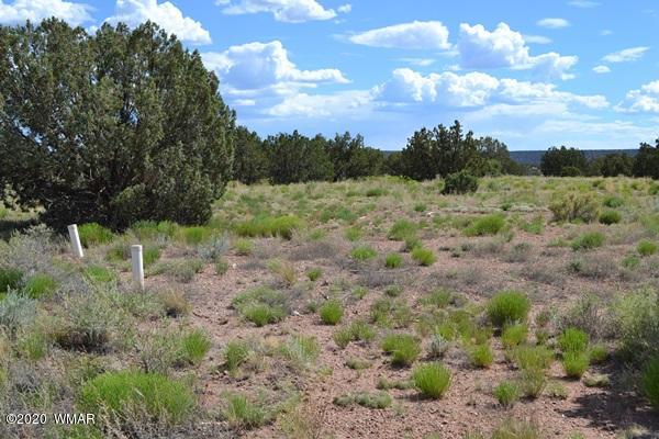 4524 East Pinto Road Snowflake, AZ 85937 - Photo 12 of 14