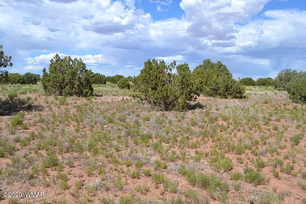 4524 East Pinto Road Snowflake, AZ 85937 - Photo 3 of 14