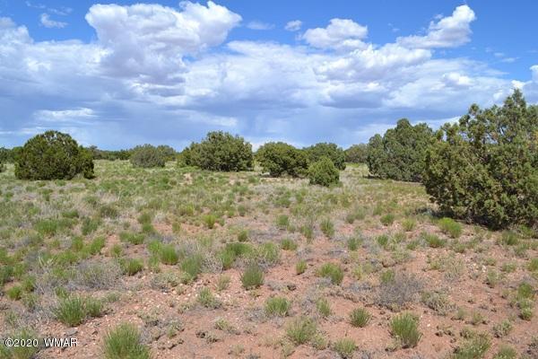 4524 East Pinto Road Snowflake, AZ 85937 - Photo 4 of 14