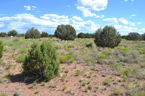 4524 East Pinto Road Snowflake, AZ 85937 - Photo 8 of 14