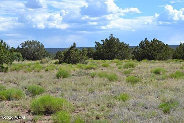 4524 East Pinto Road Snowflake, AZ 85937 - Photo 10 of 14