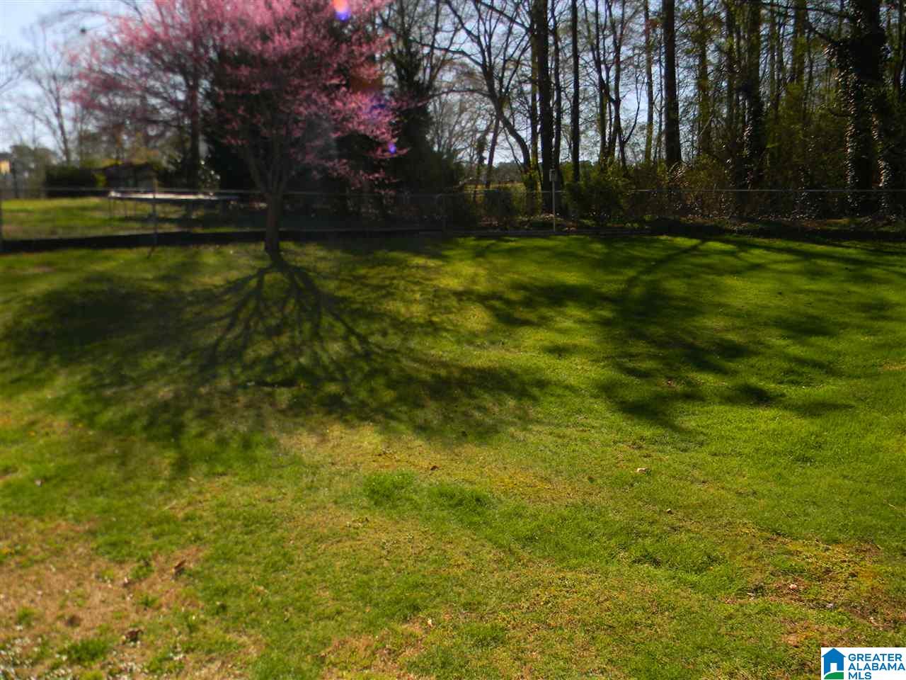213 Meadow Lane Oneonta, AL 35121 - Photo 30 of 50