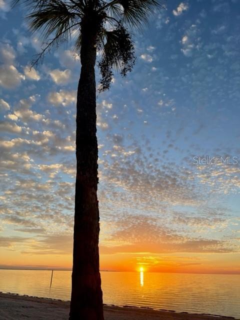 3734 Topsail Trail New Port Richey, FL 34652 - Photo 63 of 65 a view of ocean