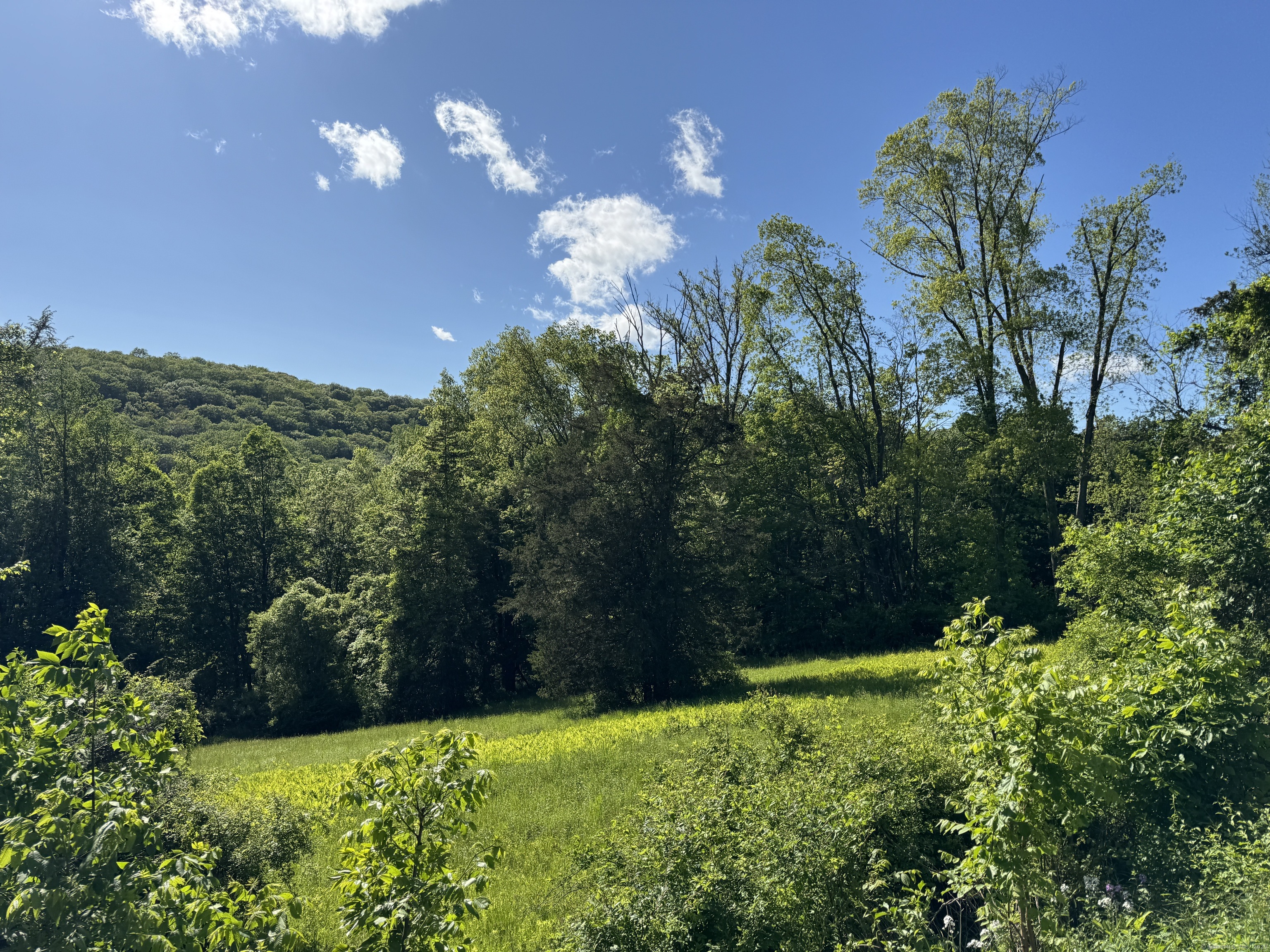 39 South State Route Sherman, CT 06784 - Photo 3 of 10 a view of a yard with a house
