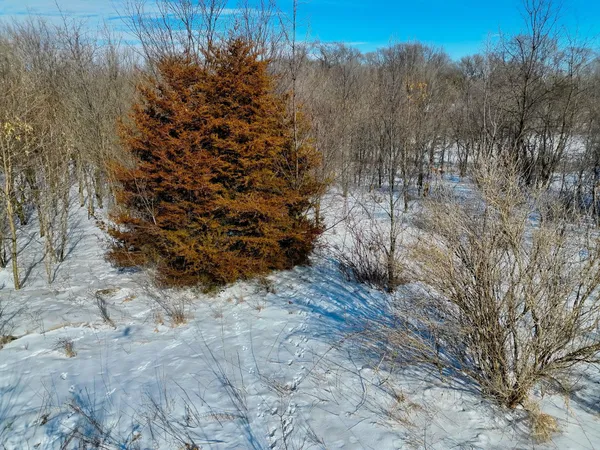 $195,000 | 87387 245th Street, Albert Lea, MN 56007