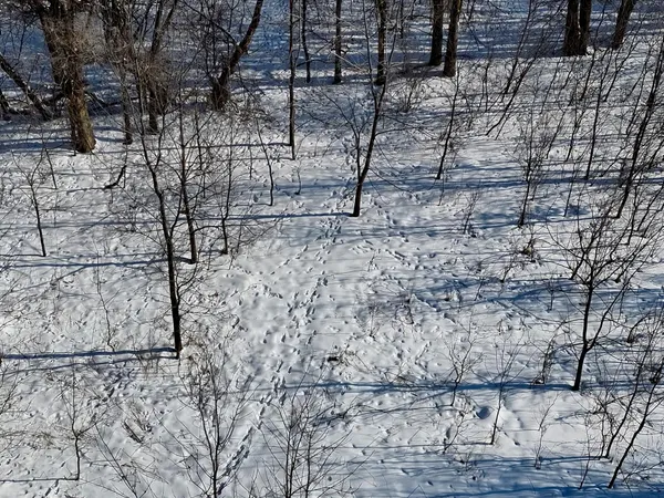 $200,000 | 87387 245th Street, Albert Lea, MN 56007