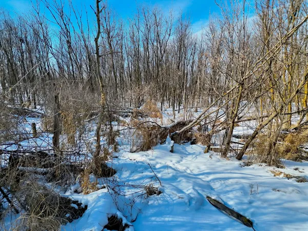 $200,000 | 87387 245th Street, Albert Lea, MN 56007