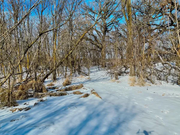 $200,000 | 87387 245th Street, Albert Lea, MN 56007