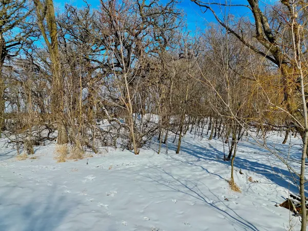 $200,000 | 87387 245th Street, Albert Lea, MN 56007