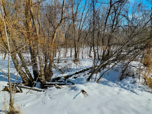 $200,000 | 87387 245th Street, Albert Lea, MN 56007