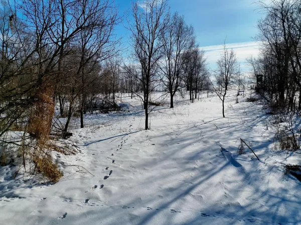 $200,000 | 87387 245th Street, Albert Lea, MN 56007