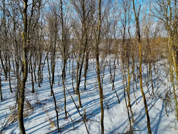 $195,000 | 87387 245th Street, Albert Lea, MN 56007