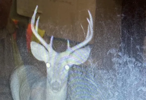 $200,000 | 87387 245th Street, Albert Lea, MN 56007