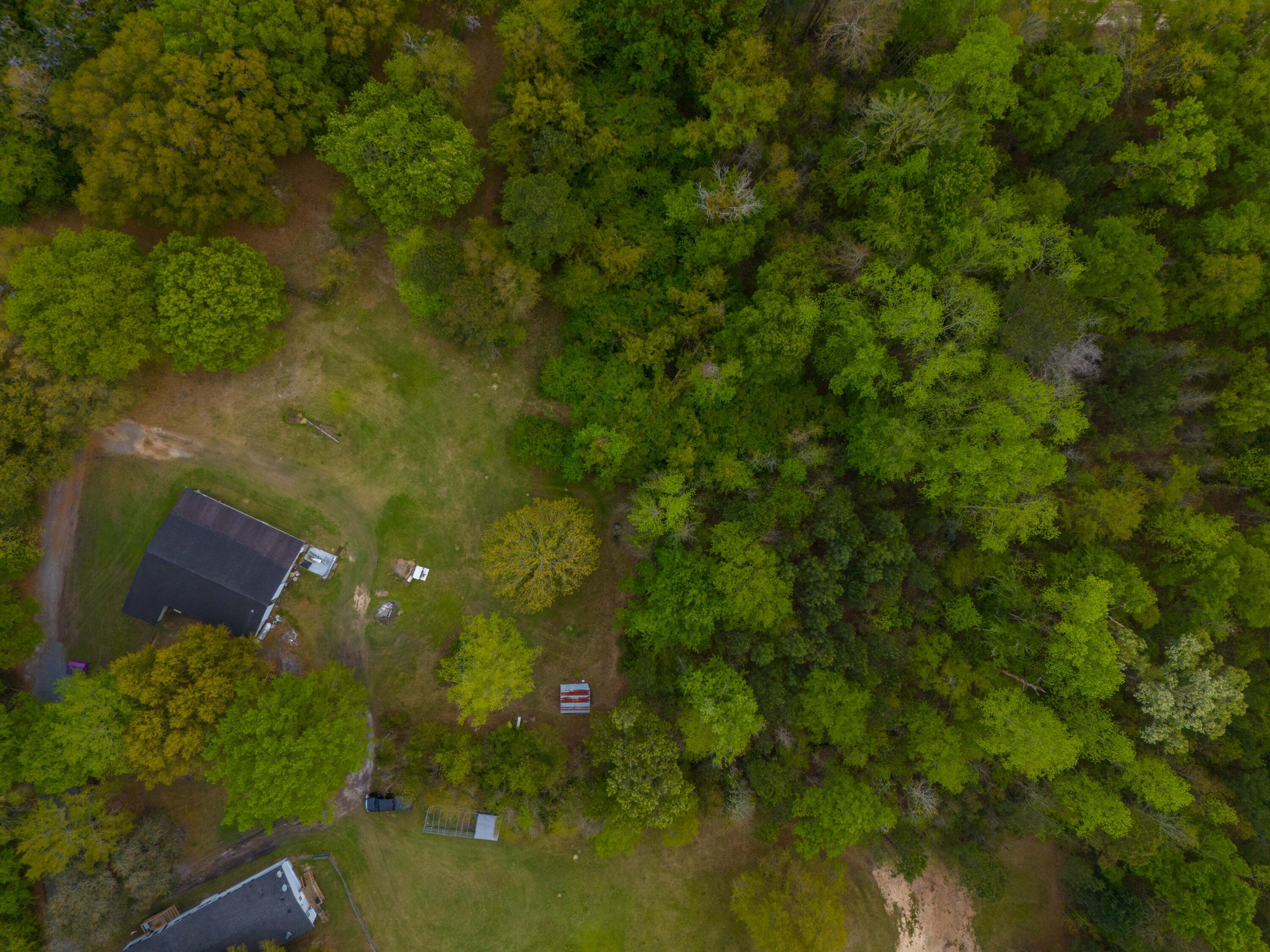 713 Broughton Road Moncks Corner, SC 29461 - Photo 20 of 44 DJI_20240326164949_0039_D