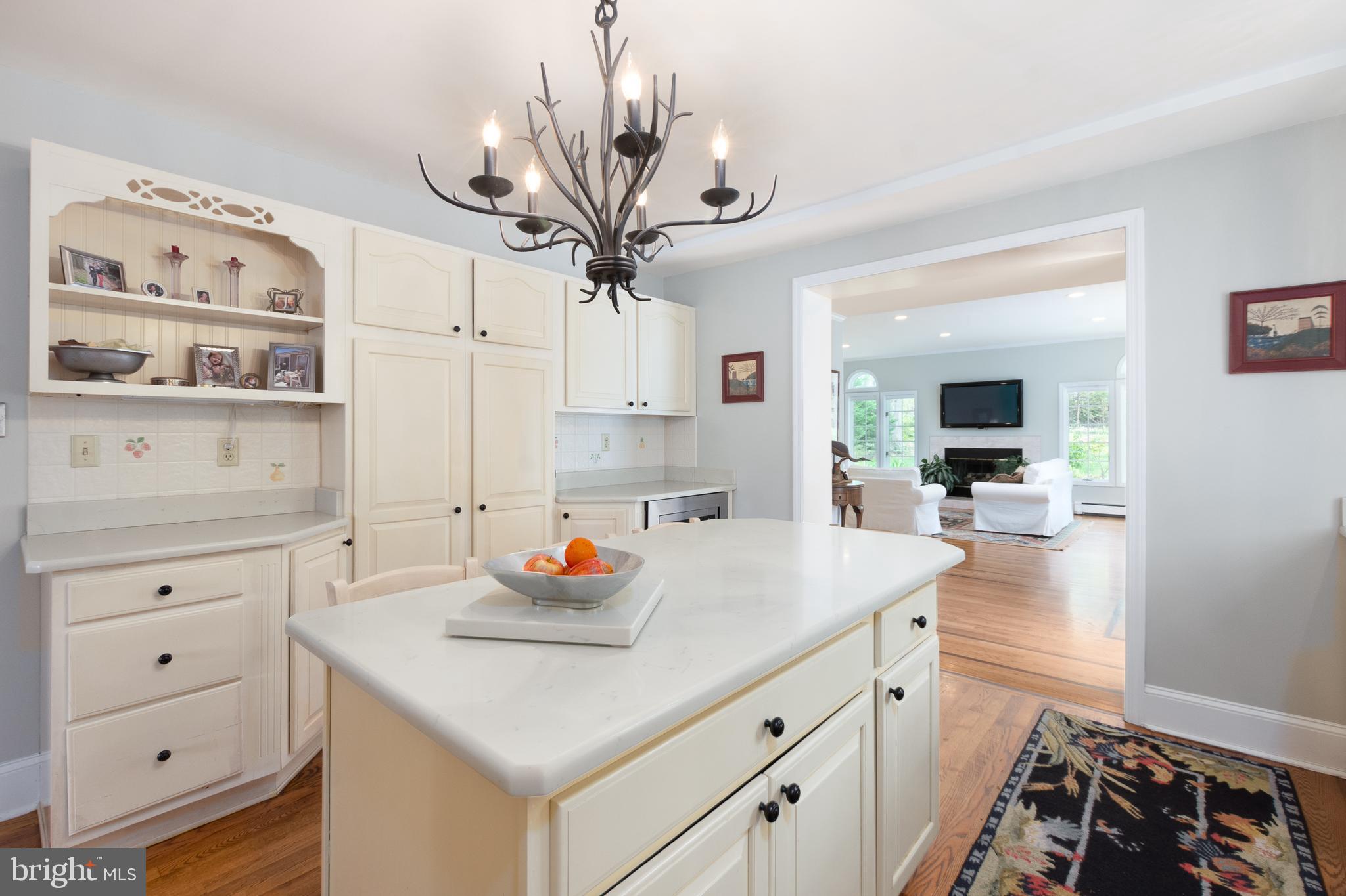 1010 Overbrook Road Wilmington, DE 19807 - Photo 11 of 41 Kitchen opens to family room