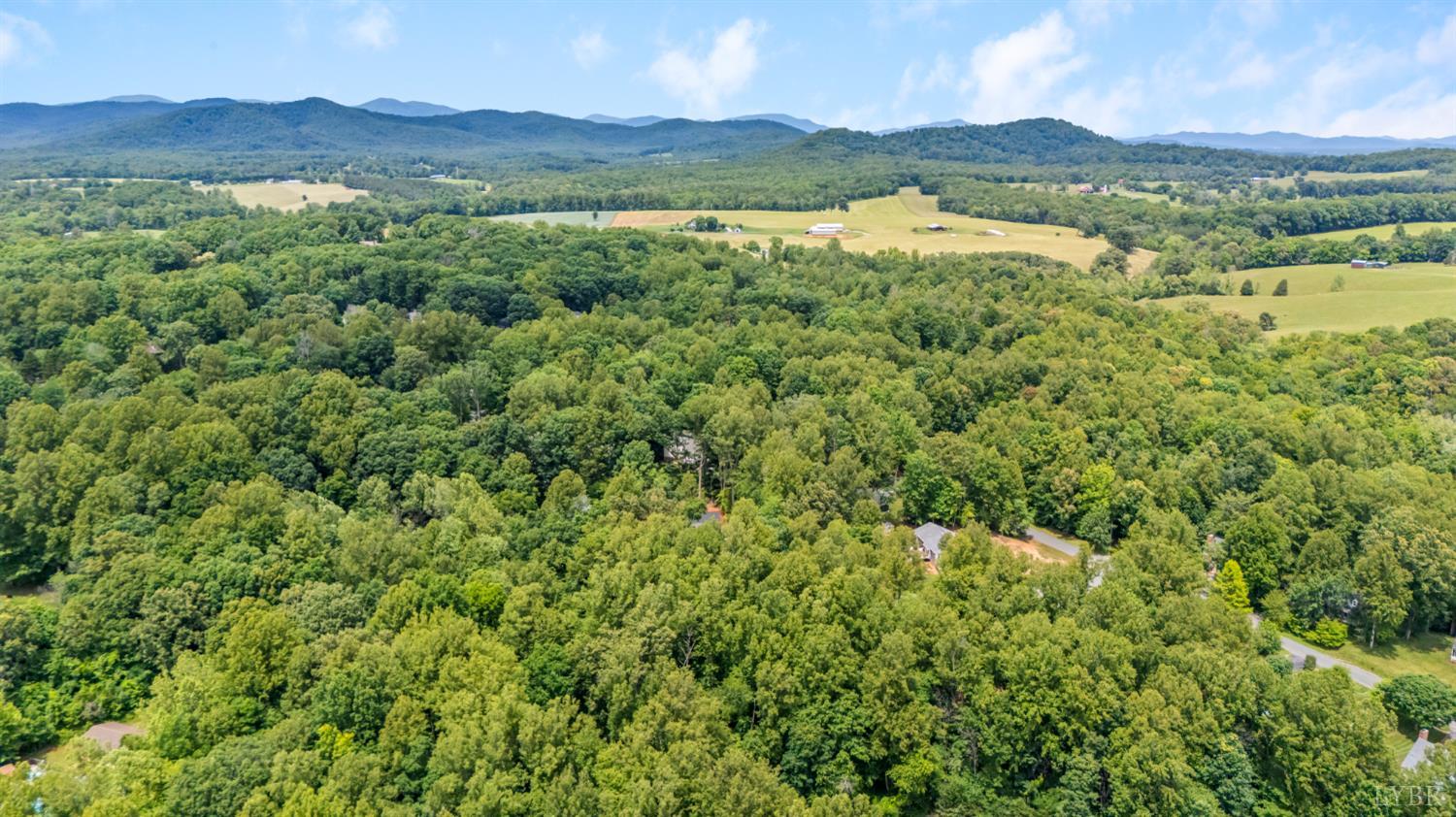 125 Cane Raiser Court Amherst, VA 24521 - Photo 50 of 53