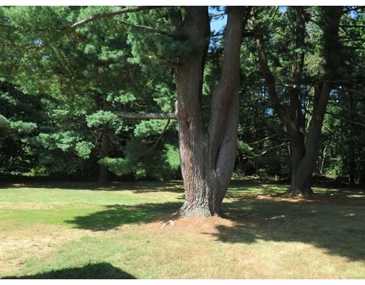 48 Jarman Road Sudbury, MA 01776 - Photo 11 of 28