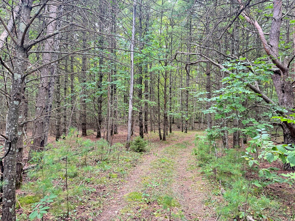 5-acres Logerquist Road Baileys Harbor, WI 54202 - Photo 3 of 13