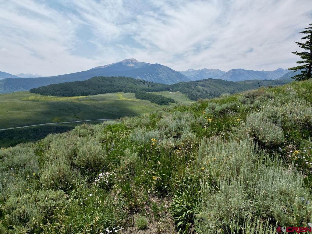 19 Buttercup Lane Crested Butte, CO 81225 - Photo 2 of 17 a view of a lush green hillside and a houses
