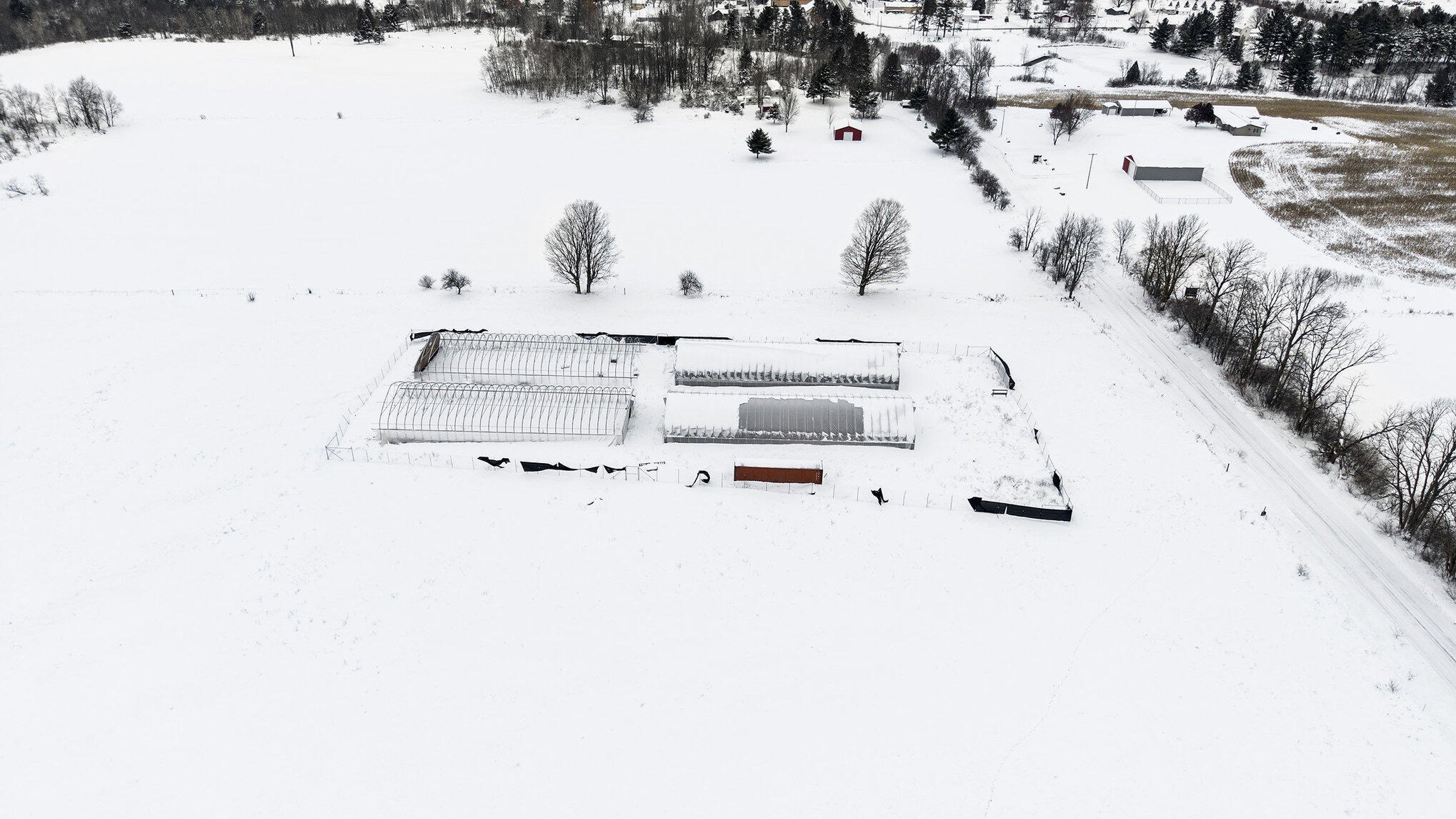 2957 North State Road Luther, MI 49656 - Photo 12 of 21 010_dji_20251212105727_0017_d_610