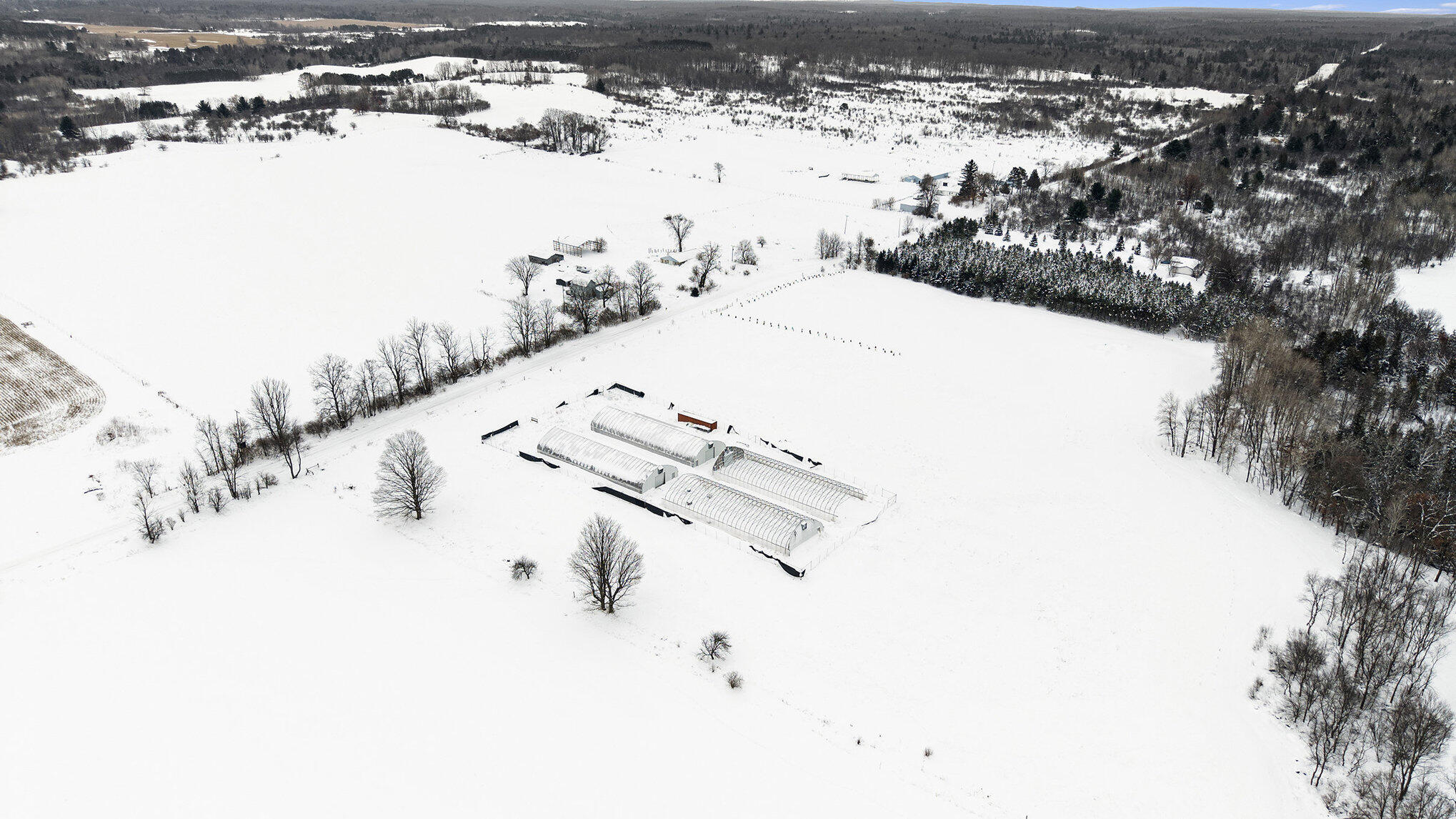2957 North State Road Luther, MI 49656 - Photo 6 of 21 002_dji_20251212105315_0002_d_769