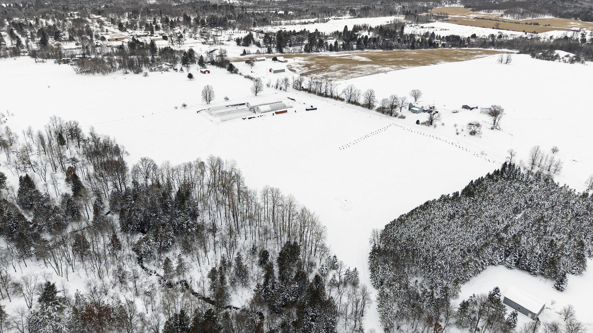 2957 North State Road Luther, MI 49656 - Photo 8 of 21 004_dji_20251212105415_0006_d_174