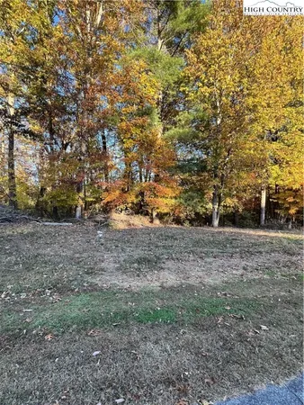 a view of dirt yard with a trees