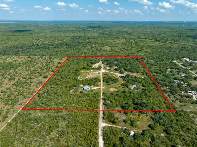 a view of a garden with a flower garden