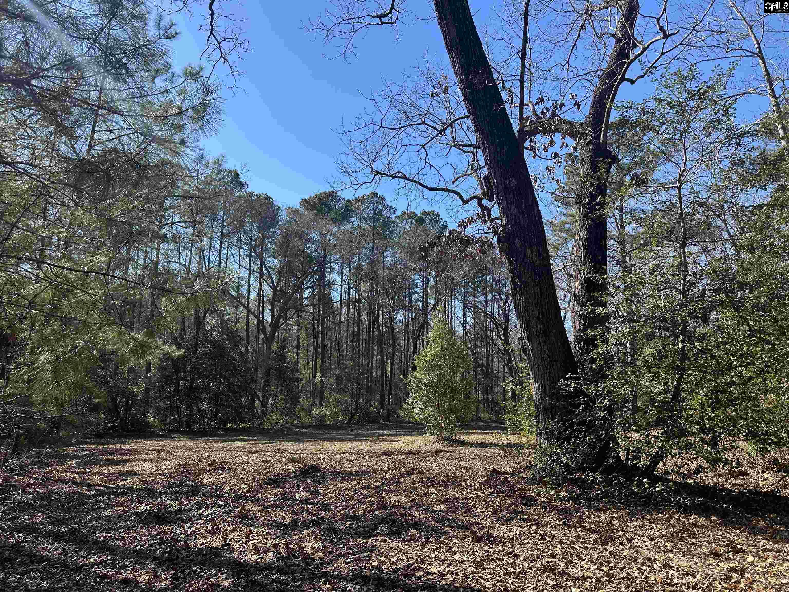 622 Juniper Springs Road Gilbert, SC 29054 - Photo 9 of 10
