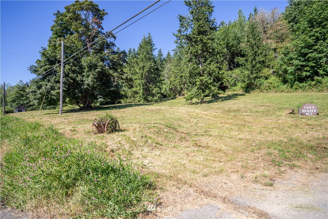 7054 Beaver Valley Road Port Hadlock, WA 98339 - Photo 40 of 40 a view of a yard with a tree