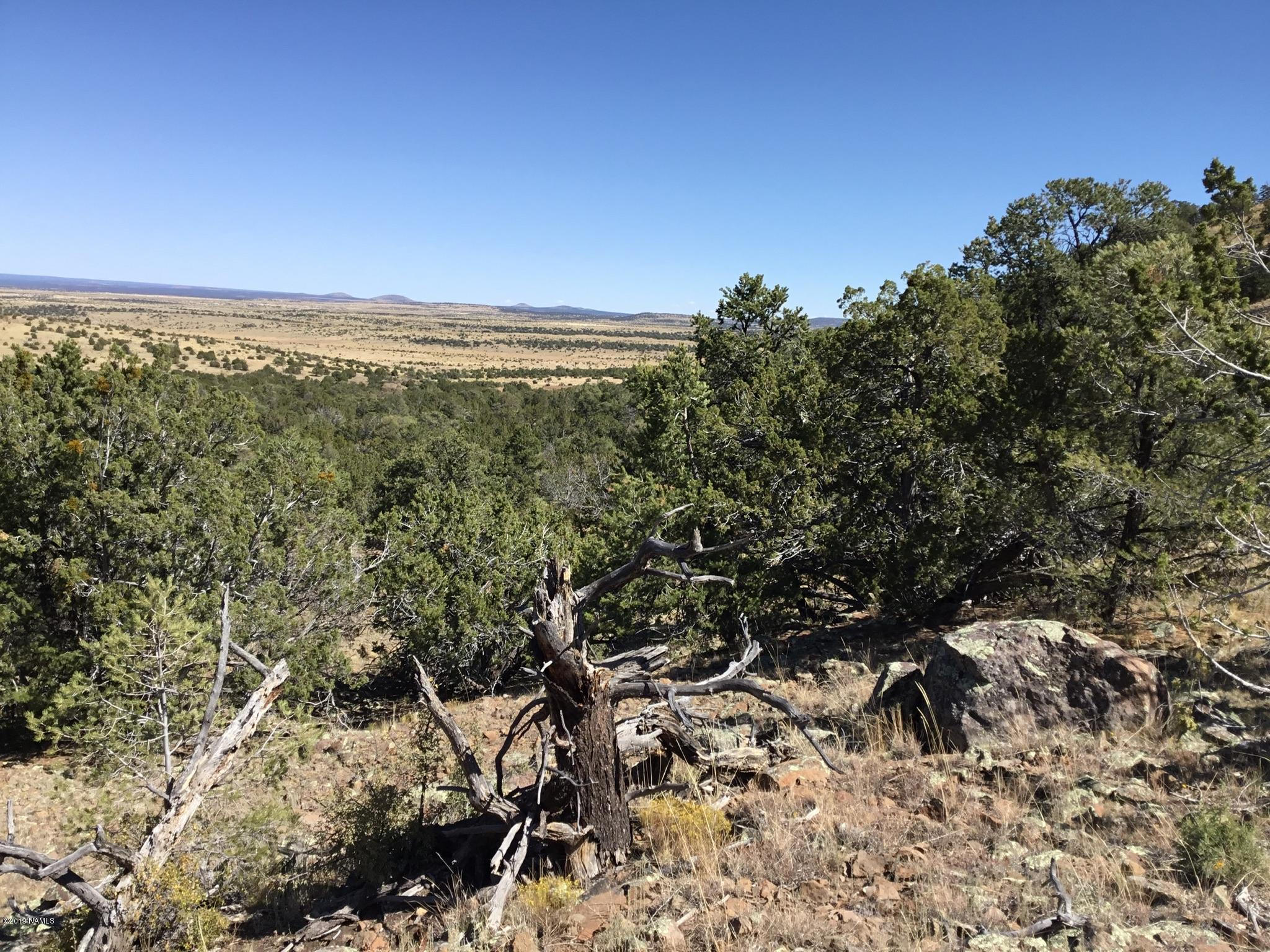 10884 South Mesa View Road Williams, AZ 86046 - Photo 5 of 10 0860CD89-26D0-45ED-9CF3-7687C138264C