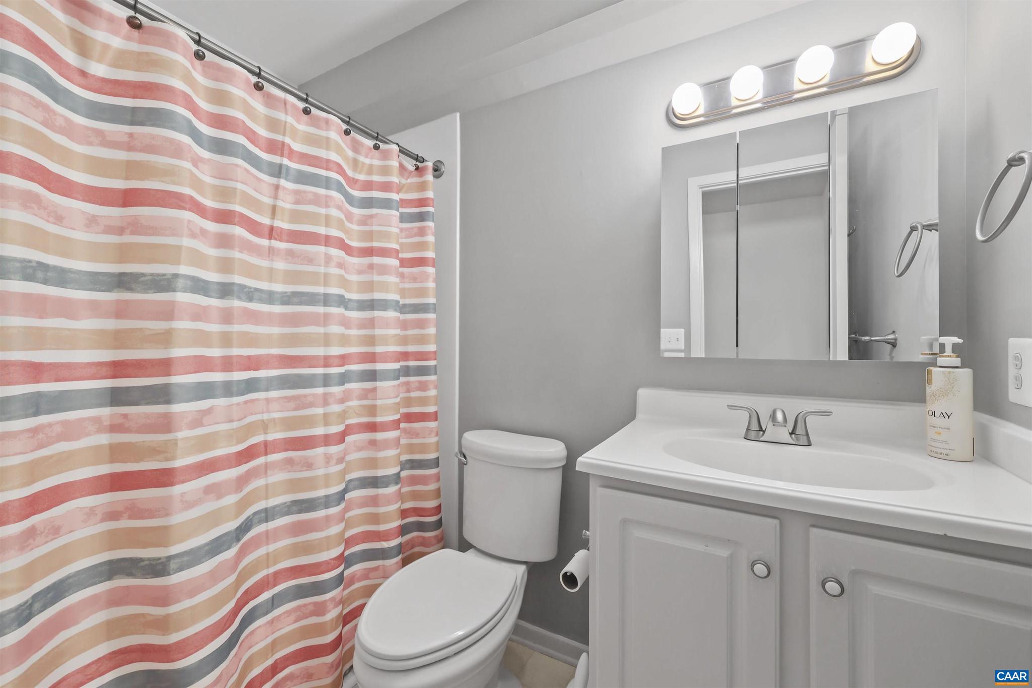 1250 Maple View Drive Charlottesville, VA 22902 - Photo 16 of 25 a bathroom with a sink a toilet a mirror and shower curtain