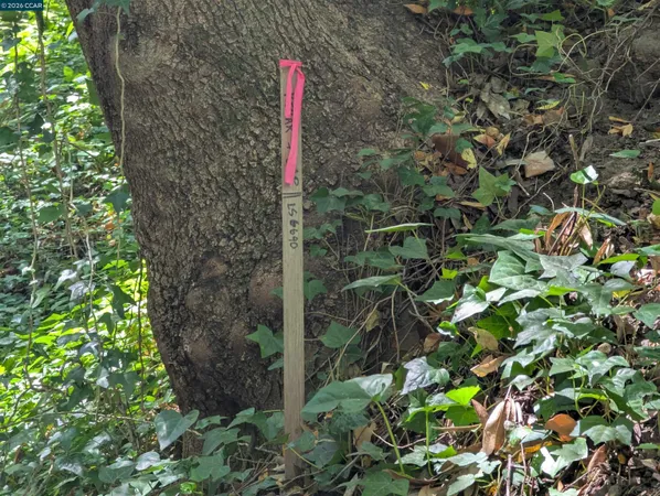 $199,000 | 0 CaƱon Drive, Orinda, CA 94563