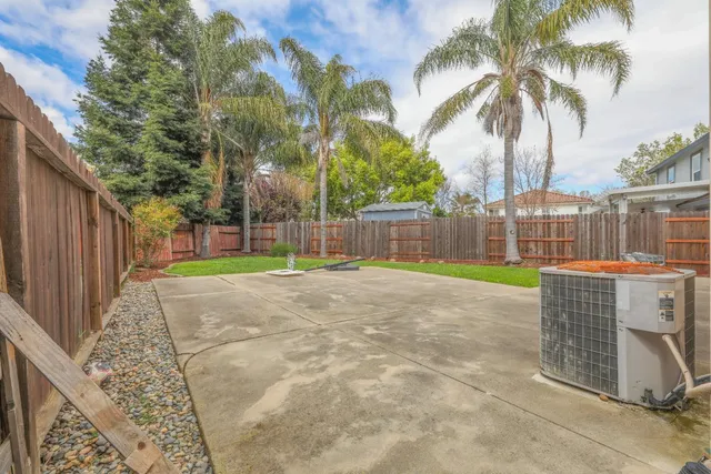 a view of backyard with palm trees