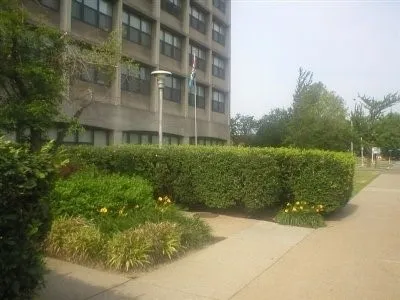 a backyard of a house with a yard