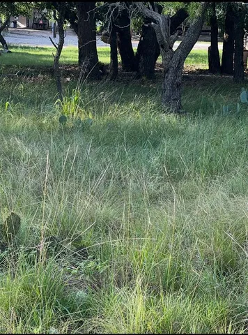 a view of a black white and white wall