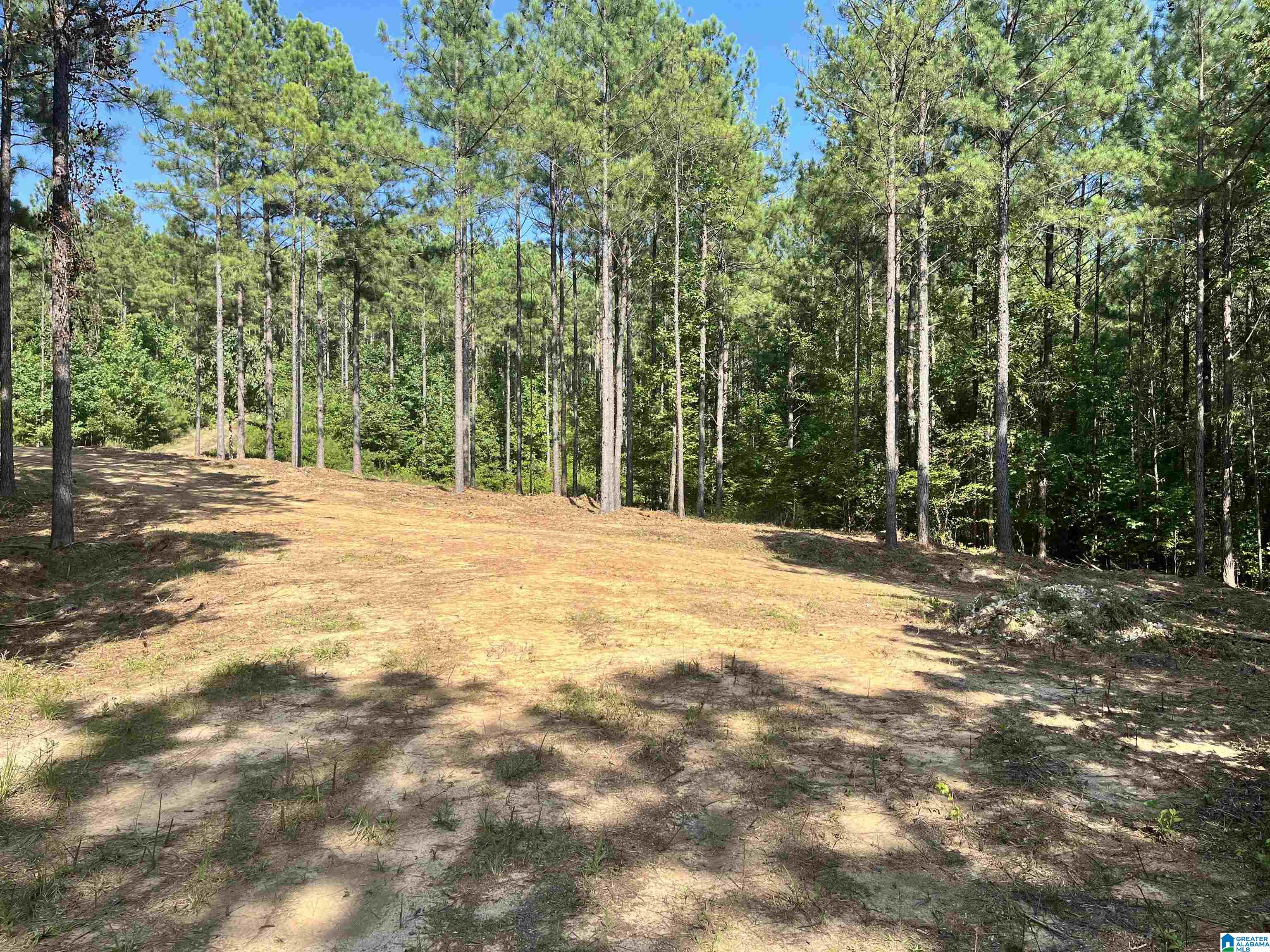 780 Sweet Apple Road, Unit TRACT 4 Pell City, AL 35128 - Photo 6 of 8