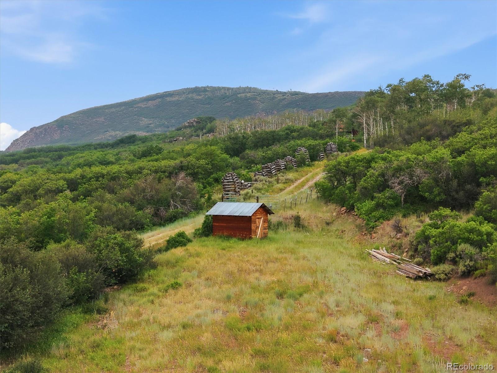 531 Buck Point Road Carbondale, CO 81623 - Photo 46 of 50