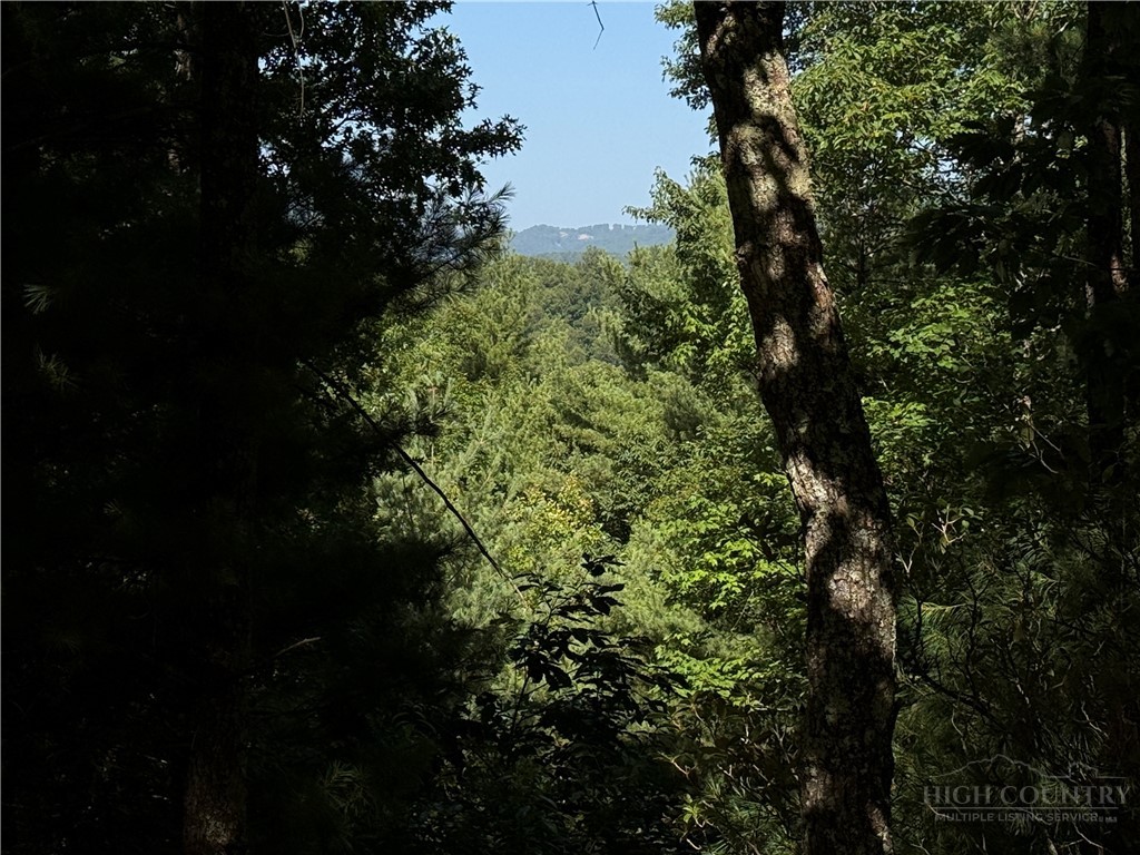 171-172b Blue Rock Road Purlear, NC 28665 - Photo 4 of 47
