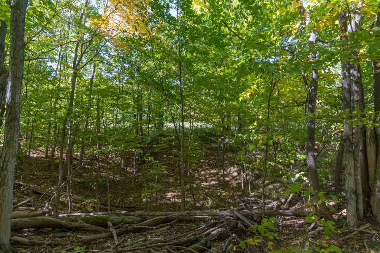 0 South Fritz Road, Unit LOT: B Maple City, MI 49664 - Photo 12 of 17 Gallery Image 12