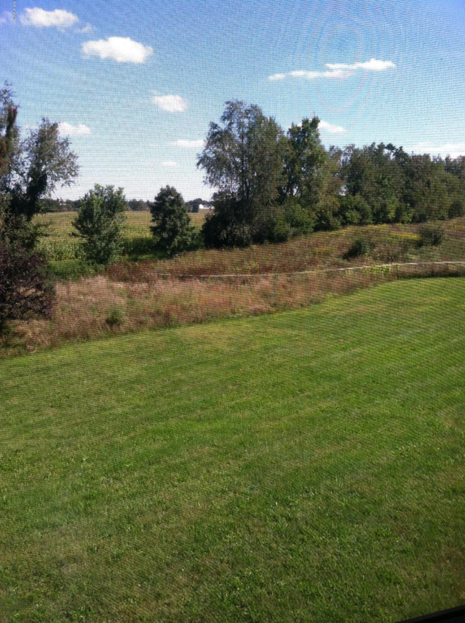 5097 Herbert Road Hickory Corners, MI 49060 - Photo 9 of 23 IMG_3362