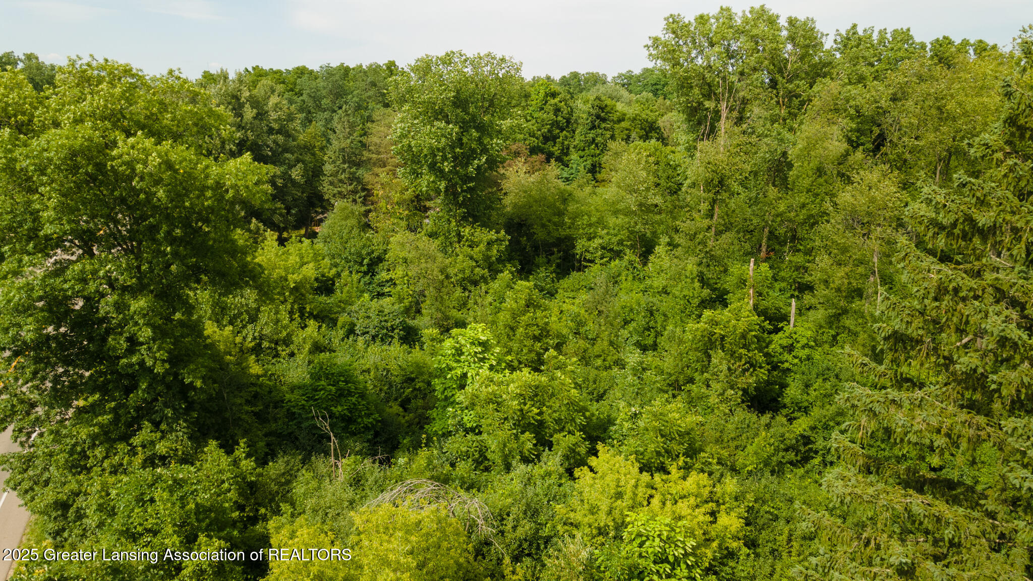 0 Okemos Road Haslett, MI 48840 - Photo 14 of 14 5520_Okemos_Rd_KRIS-14