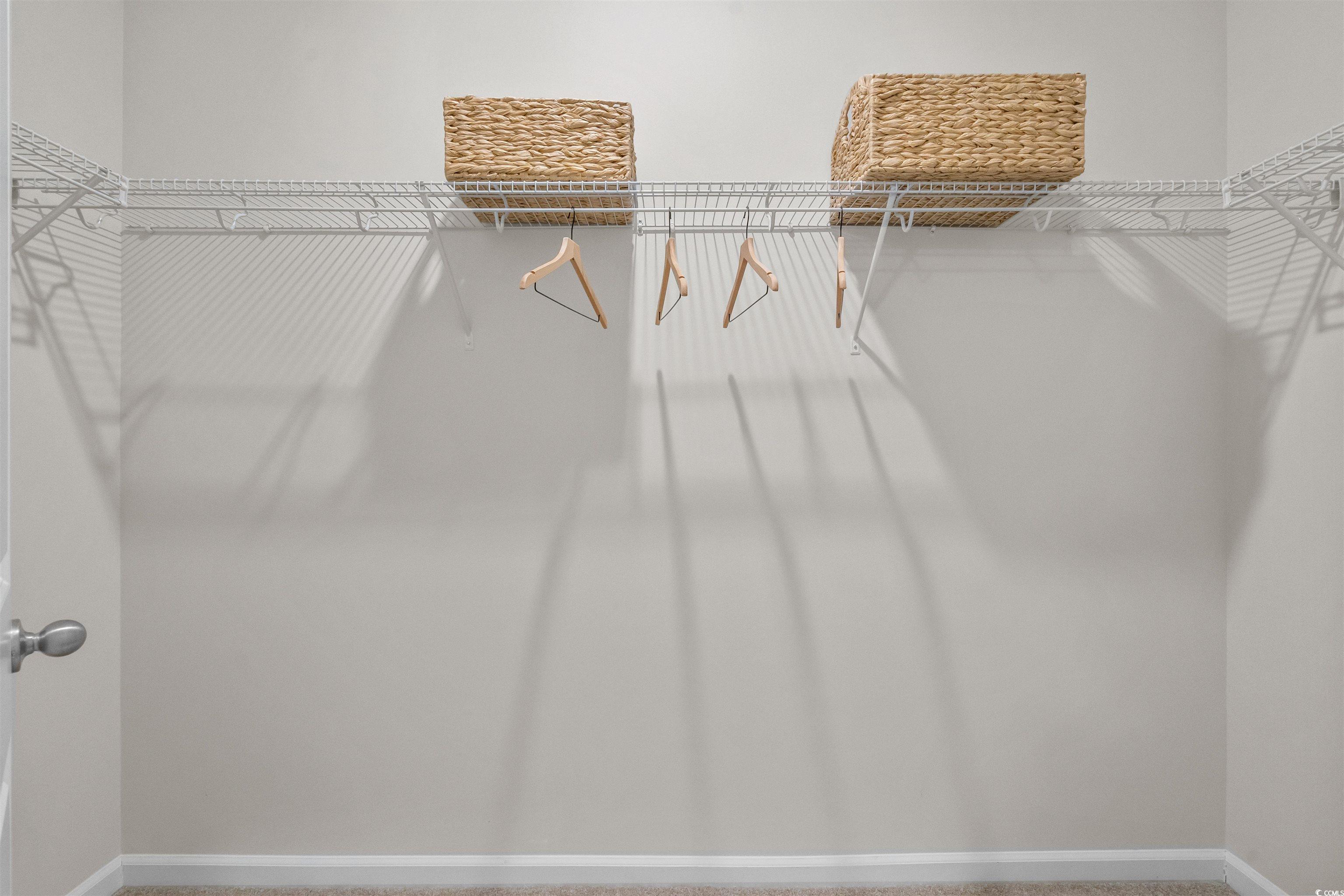 816 Palm Frond Way, Unit 41 Calabash, NC 28467 - Photo 31 of 35 Walk in closet with carpet