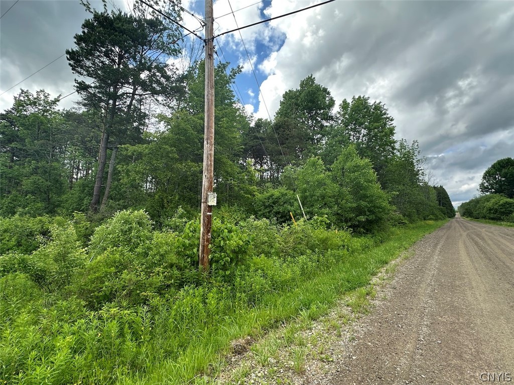 Townline Road Angelica, NY 14709 - Photo 2 of 13
